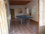 Ping Pong